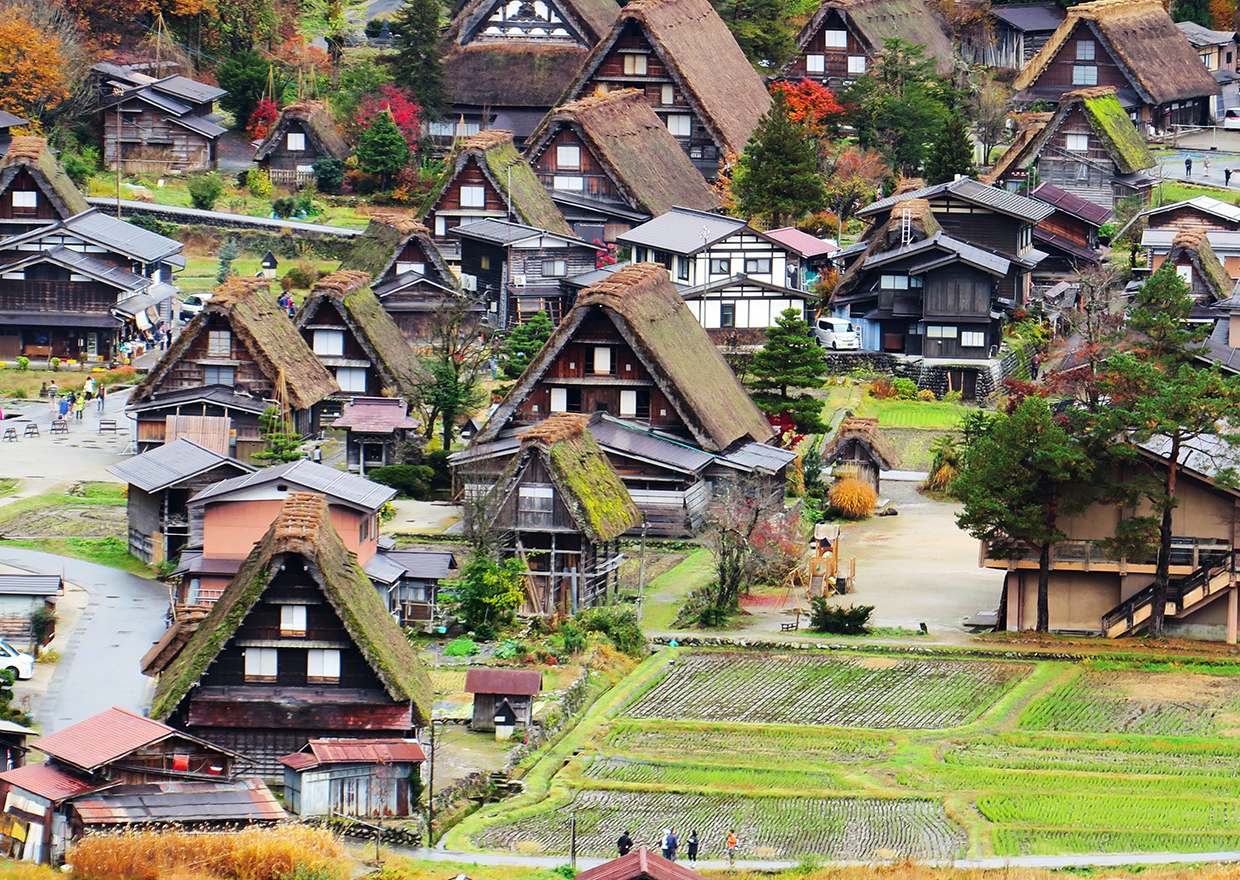 (桃園BR長榮)青之吉號觀光列車 丹後神祕花園5日