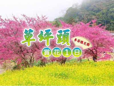 春暖花開~季節限定草坪頭賞花1日遊