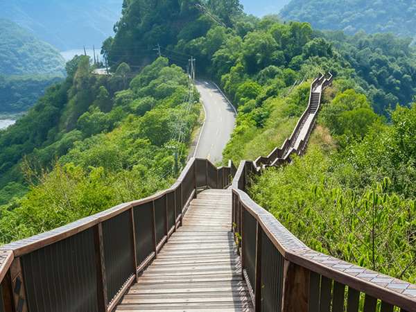高雄出發 | 【茂林森呼吸1日】台版小長城、與百萬隻紫斑蝶來場一期一會的相遇