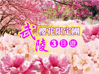 高雄出發 | 武陵櫻花限定團3日