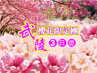 高雄出發 | 武陵櫻花限定團三日