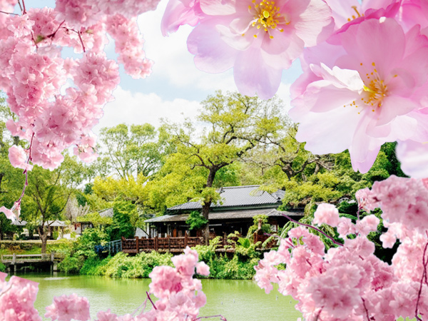 高雄出發 | 【2026迎新春日遊】一年一度麗池公園櫻花盛開~2晚入住希爾頓酒店