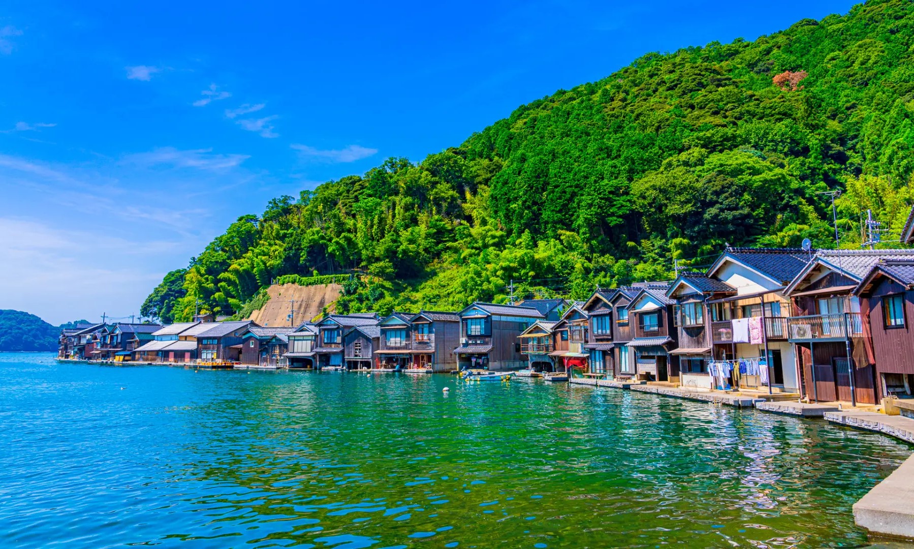 (桃園CI)青之吉號觀光列車 丹後神祕花園5日