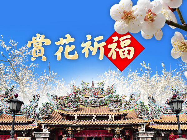 高雄出發 | 【賞花祈福馬迎春】嘉義一日